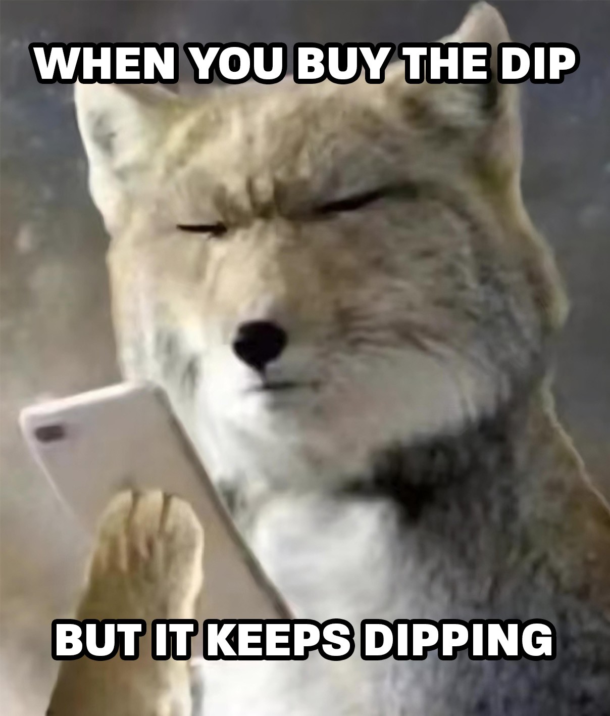when you buy the dip