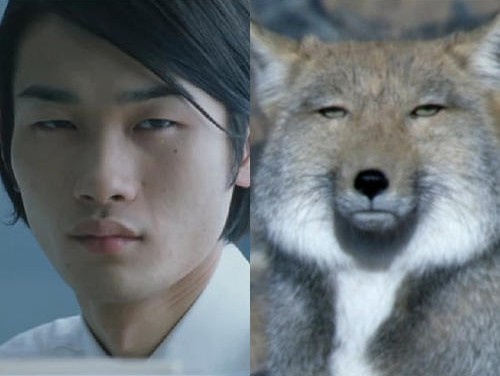 the man and the fox share a face